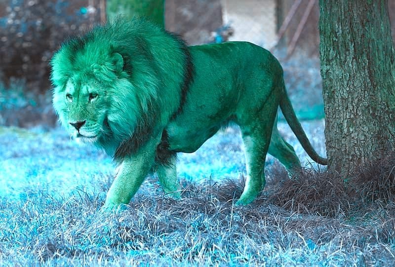 CCTV Rush Hour come si gioca? – Gestione del budget: come non bruciarsi nelle prime sessioni